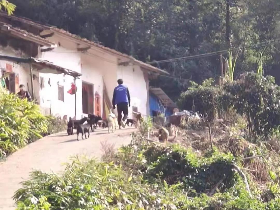 阳春房地一体项目纪实丨无悔青春多砥砺，最是奋斗动人心