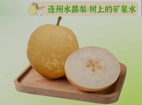 “桃李”炎暑，清冷一夏