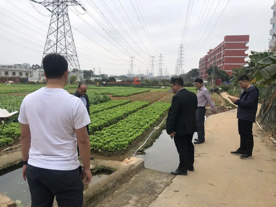 助力村落振兴，j9国际集团一向在致力！