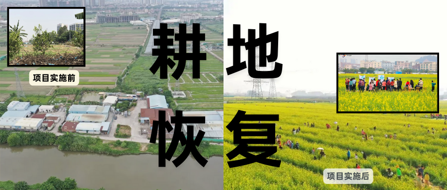 耕地；び刖梅⒄构踩凇褐惺泻窠终蛩谏缜读继锵钅扛馗丛氤窍缛诤系拇葱率导