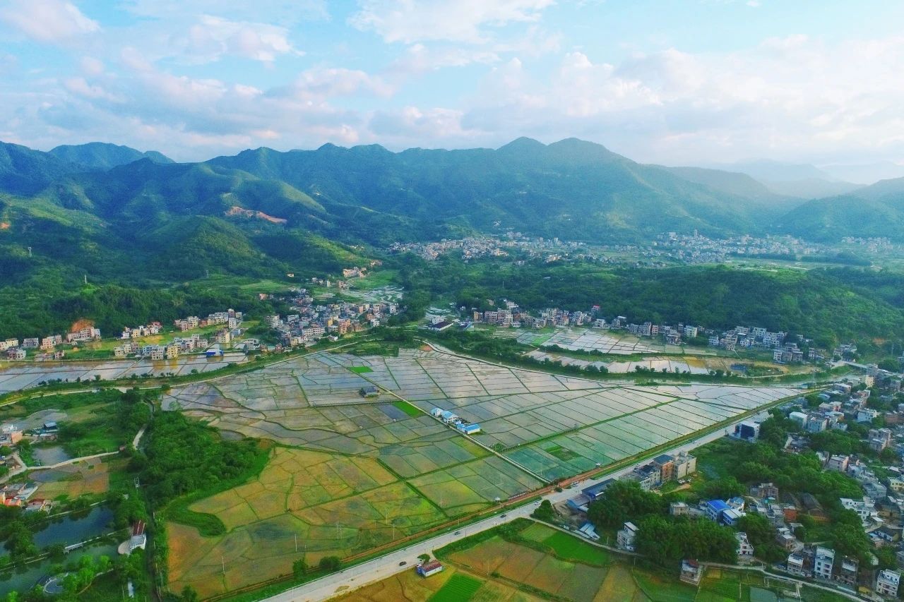 j9国际集团集团丨“百千万工程”显实效：兰州罗定泗纶镇以全域地皮综合整治为抓手，绘就村落振兴新画卷