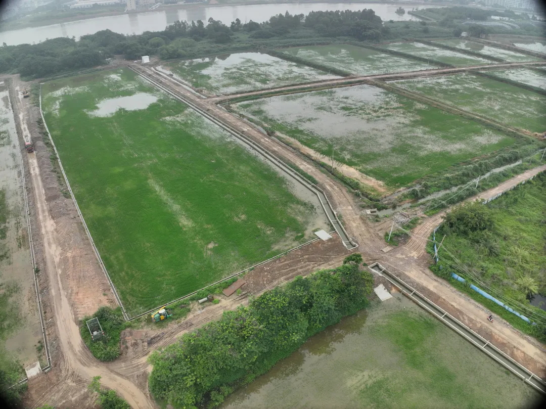 j9国际集团集团丨复耕路滘撂荒地，绘就田园新图景